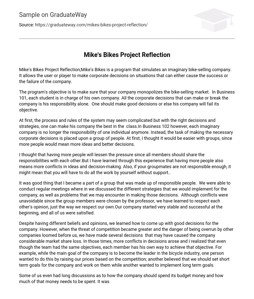 Mike’s Bikes Project Reflection