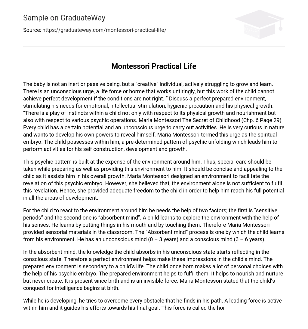 Montessori Practical Life