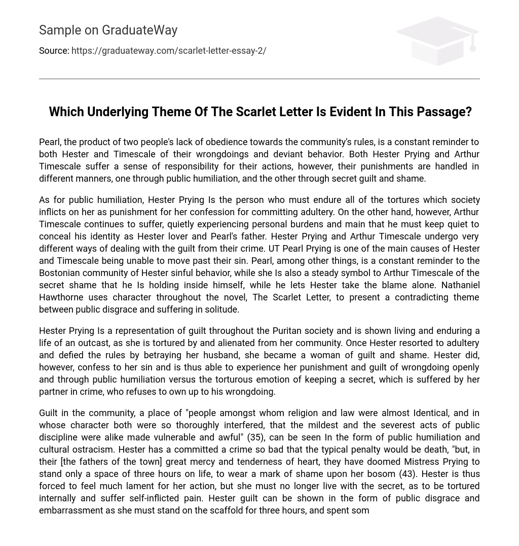 Which Underlying Theme Of The Scarlet Letter Is Evident In This Passage?