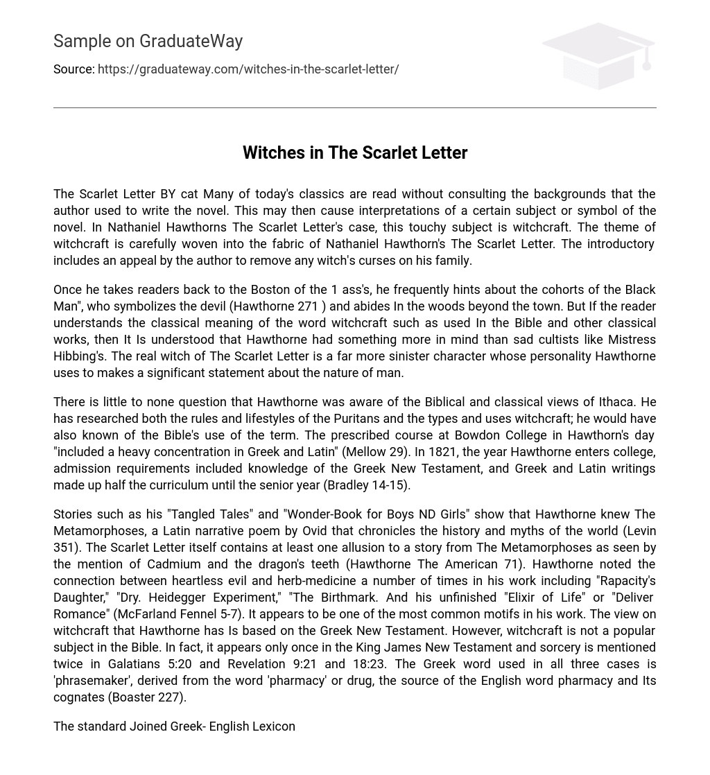 Witches in The Scarlet Letter