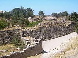 Essays on Troy